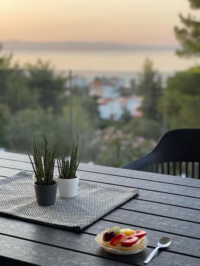 Pine Apartment