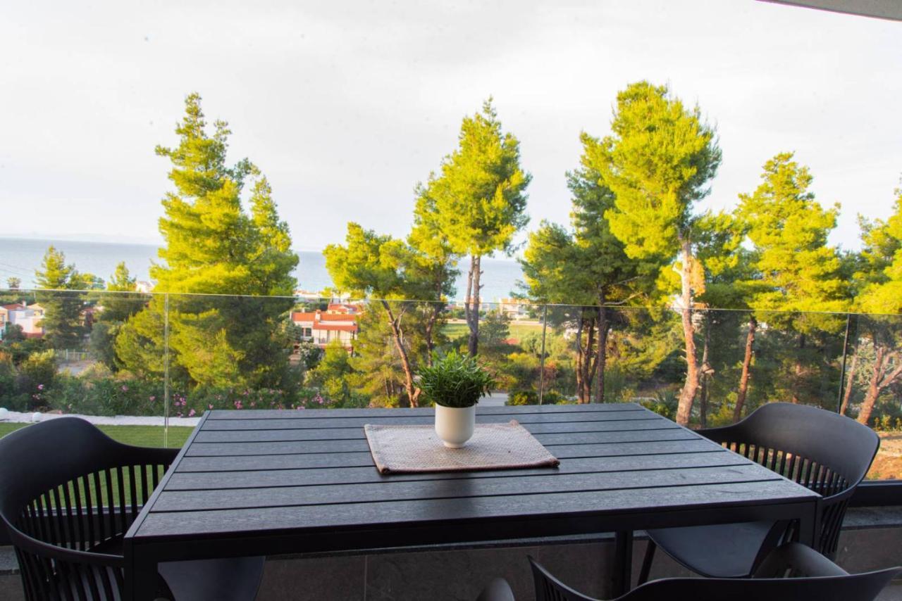 Apartment Pine Polychrono
